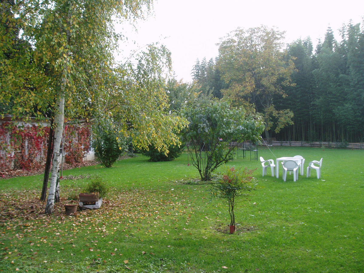 Borgo Palazzo Steffaneo Bed and Breakfast San Vito al Torre Exteriör bild